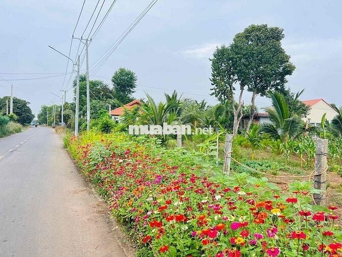 Mặt tiền đường ô tô nhánh Đoàn Trung Còn thị trấn Đất Đỏ