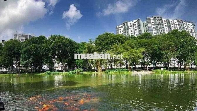 Cho thuê căn 2PN full NT đẹp 19tr/th - Diamond Celadon City Tân Phú