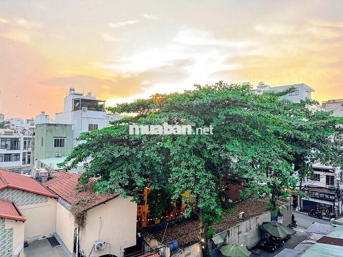 2PN GIÁ RẺ KHU VỰC TÂN BÌNH FREE XE CHO CẢ GIA ĐÌNH