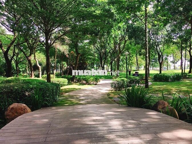 Cho thuê căn 2PN full NT đẹp 19tr/th - Diamond Celadon City Tân Phú