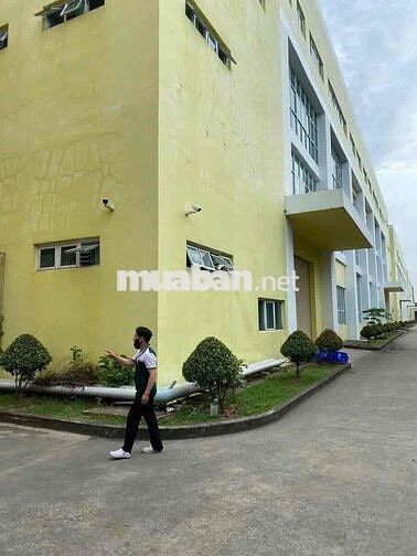 cần 100 bạn cv điện tử miễn phí trọ có thưởng 500