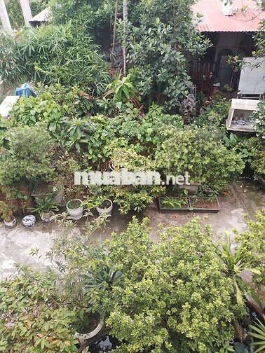 Chính chủ bán 170m²đất Vạn Kiếp. Quỹ đất lớn hiếm có sát sông Tam Bạc
