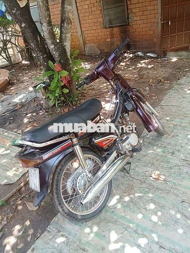 Honda Dream Trung Quốc Nâu đen