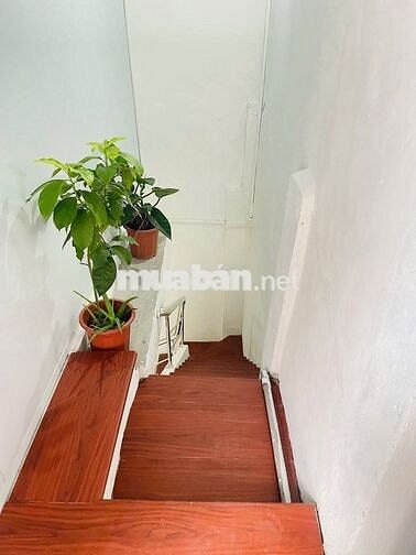 Cho thuê nhà nguyên căn 60m², ngõ 162 Đội Cấn, phường Ngọc Hà, Hà Nội