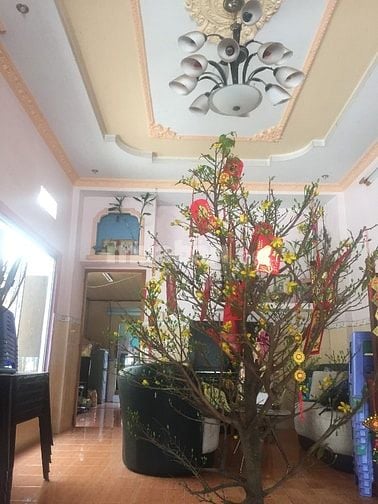 kẹt lãi vay ngoài cần bán gấp thương lượng thoải mái