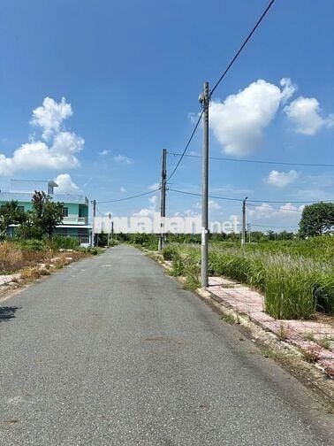 Mua đất Cần Đước, ưu tiên sổ riêng – giao dịch nhanh, công chứng ngay!