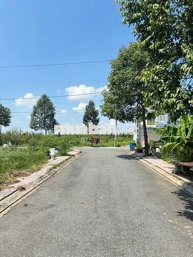 Mua đất Cần Đước, ưu tiên sổ riêng – giao dịch nhanh, công chứng ngay!