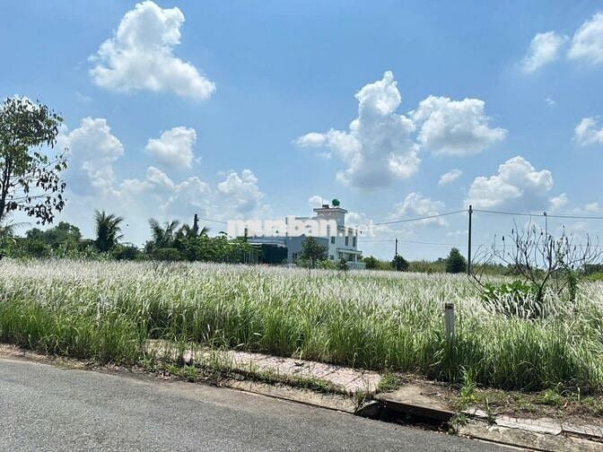 Mua đất Cần Đước, ưu tiên sổ riêng – giao dịch nhanh, công chứng ngay!