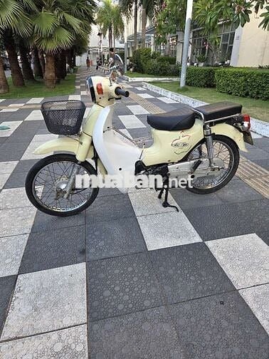 Honda Cub 50cc 2015 Vàng kem
