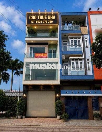 🌱 Cho Thuê Toà Nhà : 1 Hầm 4 Lầu Đường Đào Trinh Nhất