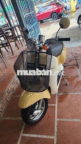 Honda C50 2018 Vàng 49cc