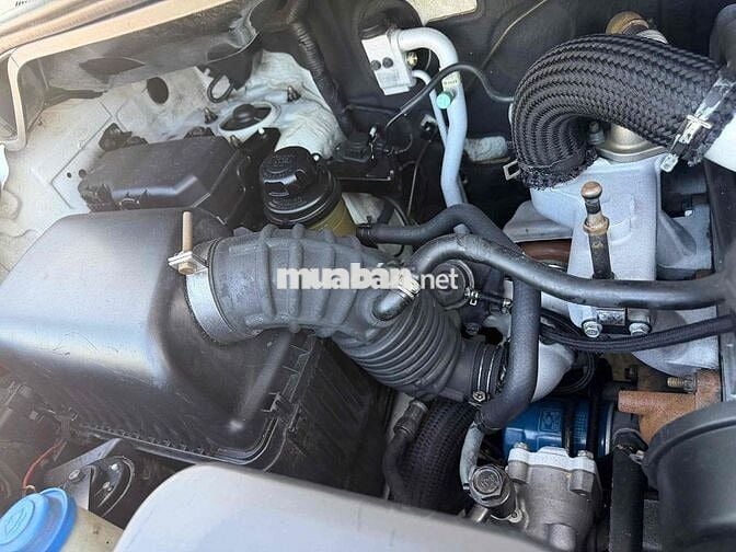 Hyundai Starex 9 chỗ Trắng