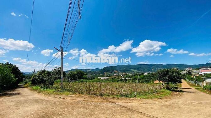 Đất nghỉ dưỡng gần Đà Lạt view đẹp tại Nam Ban Lâm Hà