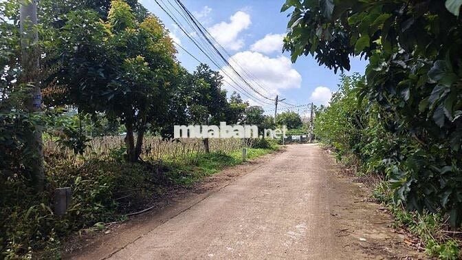 Đất nghỉ dưỡng gần Đà Lạt view đẹp tại Nam Ban Lâm Hà