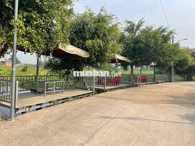 CHÍNH CHỦ CẦN BÁN ĐẤT LONG CANG – KHU VỰC TIỀM NĂNG – SỔ HỒNG RIÊNG