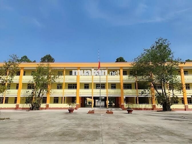 Bán nhanh lô đất 154m2-900 triệu đường Tỉnh Lộ 8 xã Bình Mỹ Củ Chi SHR