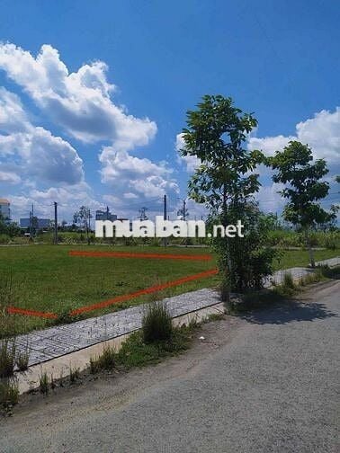 CHÍNH CHỦ CẦN BÁN ĐẤT LONG CANG – KHU VỰC TIỀM NĂNG – SỔ HỒNG RIÊNG