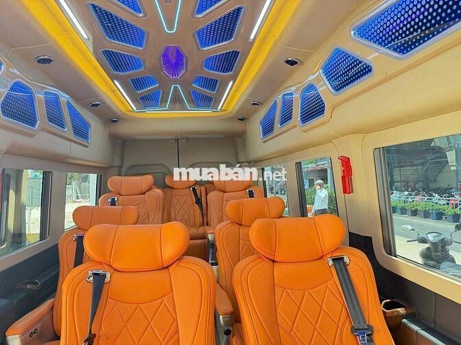 Transit Limousine Skybus 2025 12 chỗ Đen- Xe XhĐ