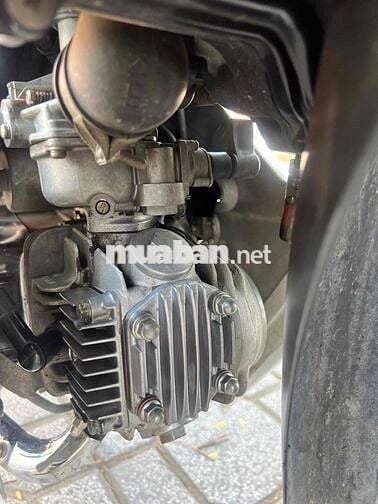 Honda Wave Alpha 100 2014 Trắng