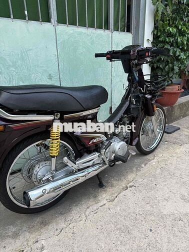 Honda Super Dream 2010