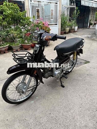 Honda Super Dream 2010