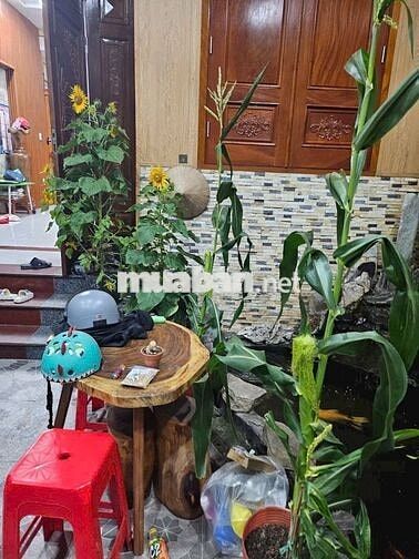 CHO THUÊ NHÀ PHƯỜNG AN BÌNH GIÁ 6 TRIỆU