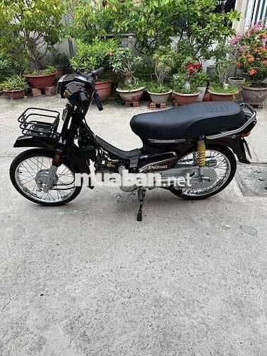 Honda Super Dream 2010