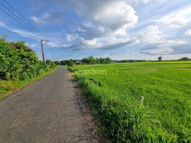 10x42 có 60m2 thổ cư. Đường nhựa gần KCN. 900tr 