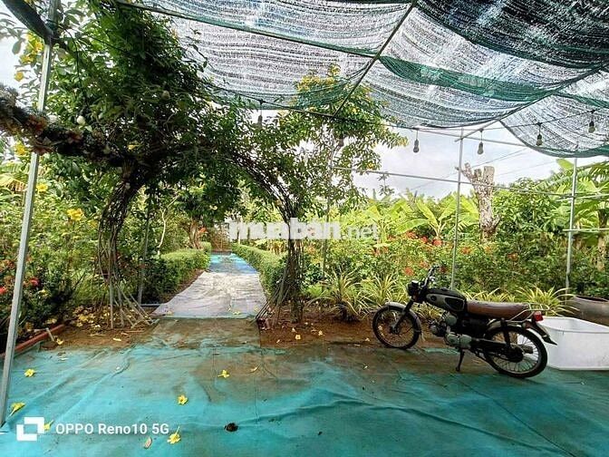 Đất thổ cư 600 m2 diện tích 2.890m2 đã có nhà đầy đủ tiện nghi