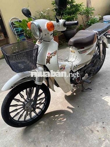 Honda 50cc Trắng 49.5cc