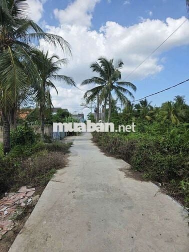 923m² Đất Long Hòa B , TP Mỹ Tho gần quảng trường