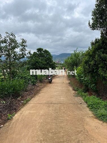 Bán 10 lô đất  Ven Đà Lạt- Nam Ban Lâm Hà 400m2