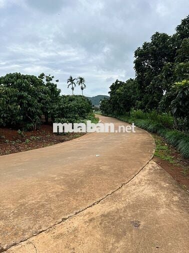 Bán 10 lô đất  Ven Đà Lạt- Nam Ban Lâm Hà 400m2