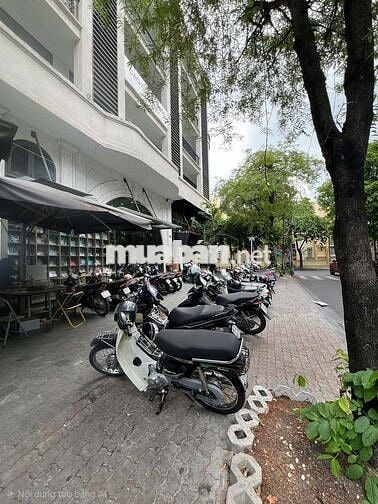 TUYỂN NAM BV, LƯƠNG CAO Q1-Q10-B.TÂN-Q3-Q7-Q11