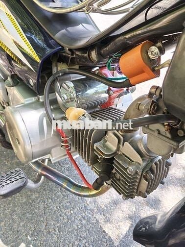 Honda Alpha 2024 Xanh đã qua sử dụng