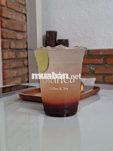 Blanca Coffee - The Alley Tuyển Dụng
