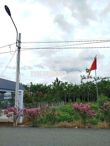 🔑 MUA ĐẤT CHÍNH CHỦ – KHÔNG LO BỊ ĐỘI GIÁ QUA TRUNG GIAN