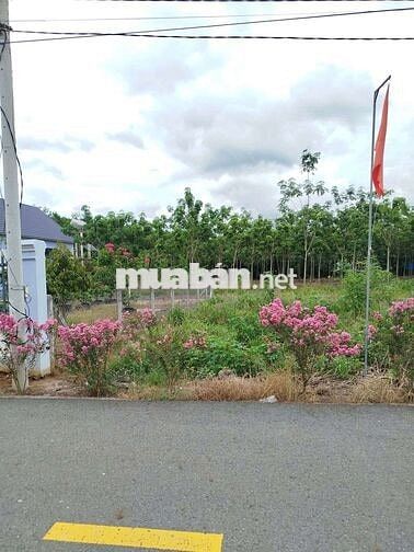 🔑 MUA ĐẤT CHÍNH CHỦ – KHÔNG LO BỊ ĐỘI GIÁ QUA TRUNG GIAN