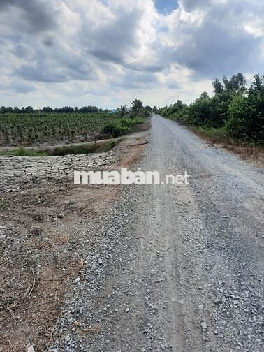 Bán đất mặt tiền kênh 1 xã thủ thừa .tây ninh dt 2070m2  (23.8 x 86.9)