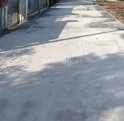 Chính chủ cần tiền bán nhanh miếng đất thổ cư 125m2, giá 1,250 tỷ, shr