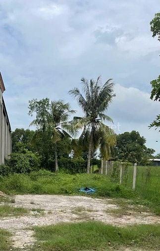 Chính chủ cần tiền bán nhanh miếng đất thổ cư 125m2, giá 1,250 tỷ, shr