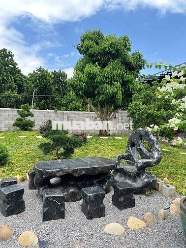 Nhà vườn nghĩ dưỡng ngay trung tâm phường Long Khánh