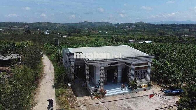 Bán sỉ 2,1ha 11 sổ riêng 400m thổ cư Xuân Phú Ea Kar 5,7 tỷ