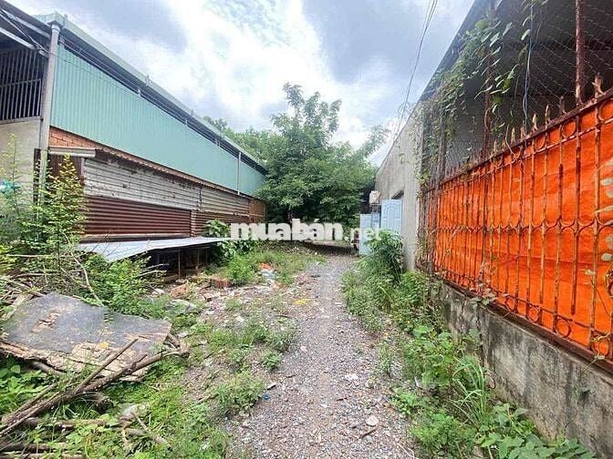 💥 CẦN BÁN LÔ ĐẤT 543m² MẶT TIỀN 12M BÌNH MINH - TRẢNG BOM - SẴN DÃY TR