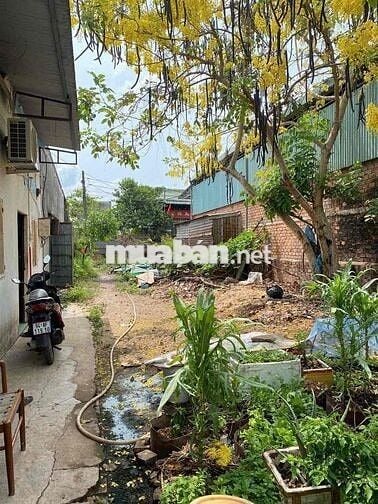 💥 CẦN BÁN LÔ ĐẤT 543m² MẶT TIỀN 12M BÌNH MINH - TRẢNG BOM - SẴN DÃY TR