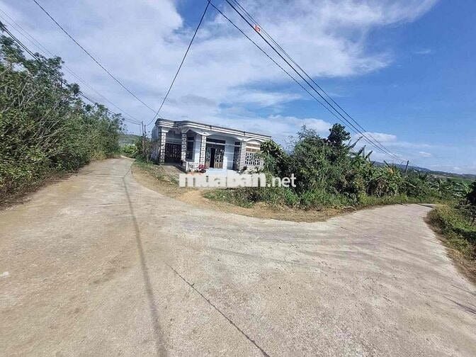 Bán sỉ 2,1ha 11 sổ riêng 400m thổ cư Xuân Phú Ea Kar 5,7 tỷ