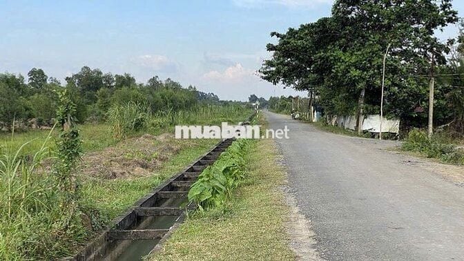 Đất trồng cây hàng năm hơn 4000m2