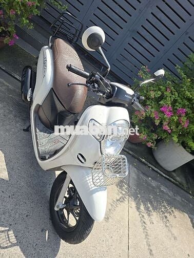  Scoopy 2020.máy zin.BS:59K2-66141.xe đẹp,cc chủ