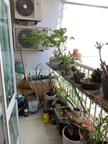Căn Hộ Belleza 124m2 Phạm Hữu Lầu, P. Tân Mỹ Q7 View PMH - Ga Tân Mỹ 
