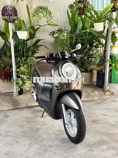 Honda Scoopy 2023 bstp chính chủ.
